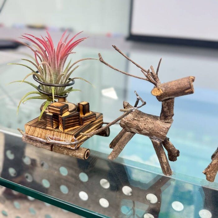 114-1導師輔導知能研習「看見生命的亮點」漂流木藝術生命工作坊圖片